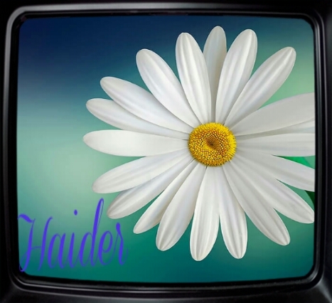 Haider
