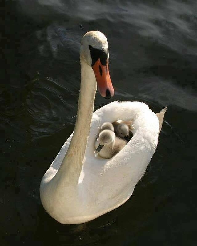 mother with nature
