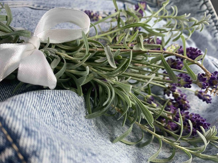 lavender bouquet