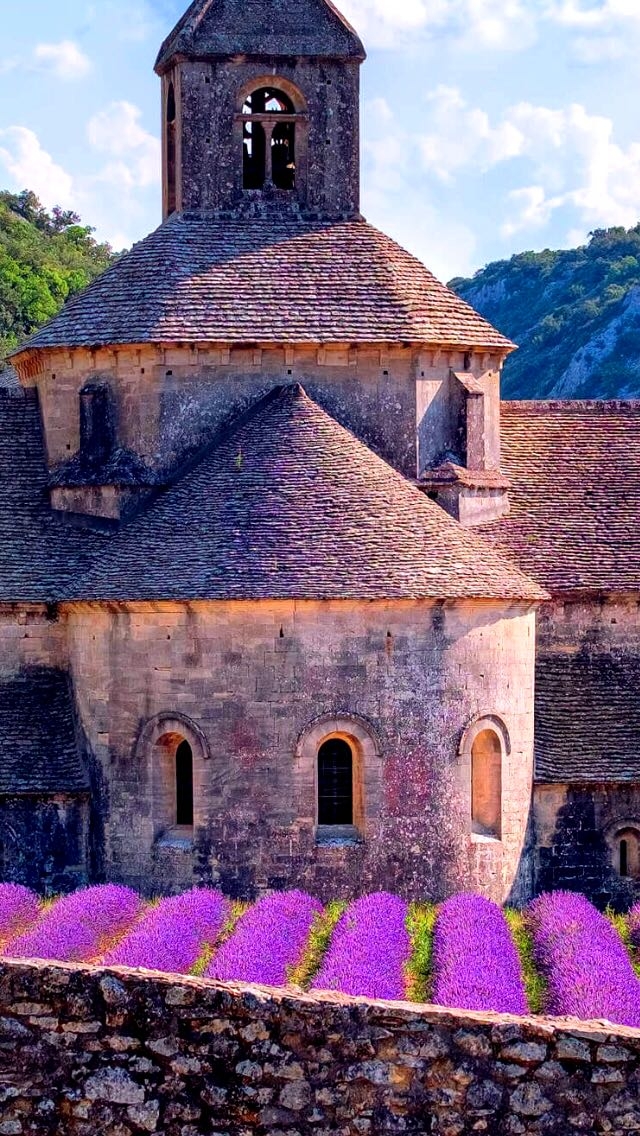 Beautiful Palace