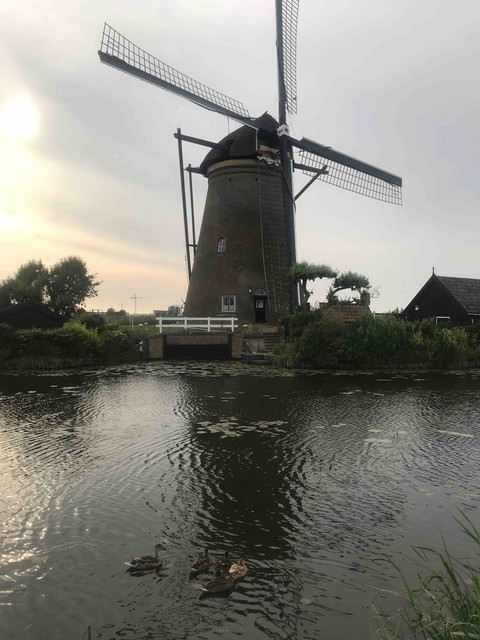 kiderdijk, Holland
