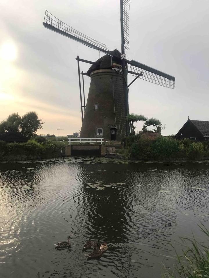 kiderdijk, Holland