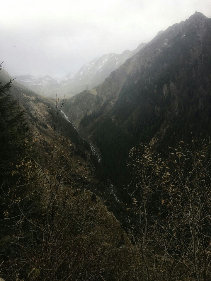 about last autumn