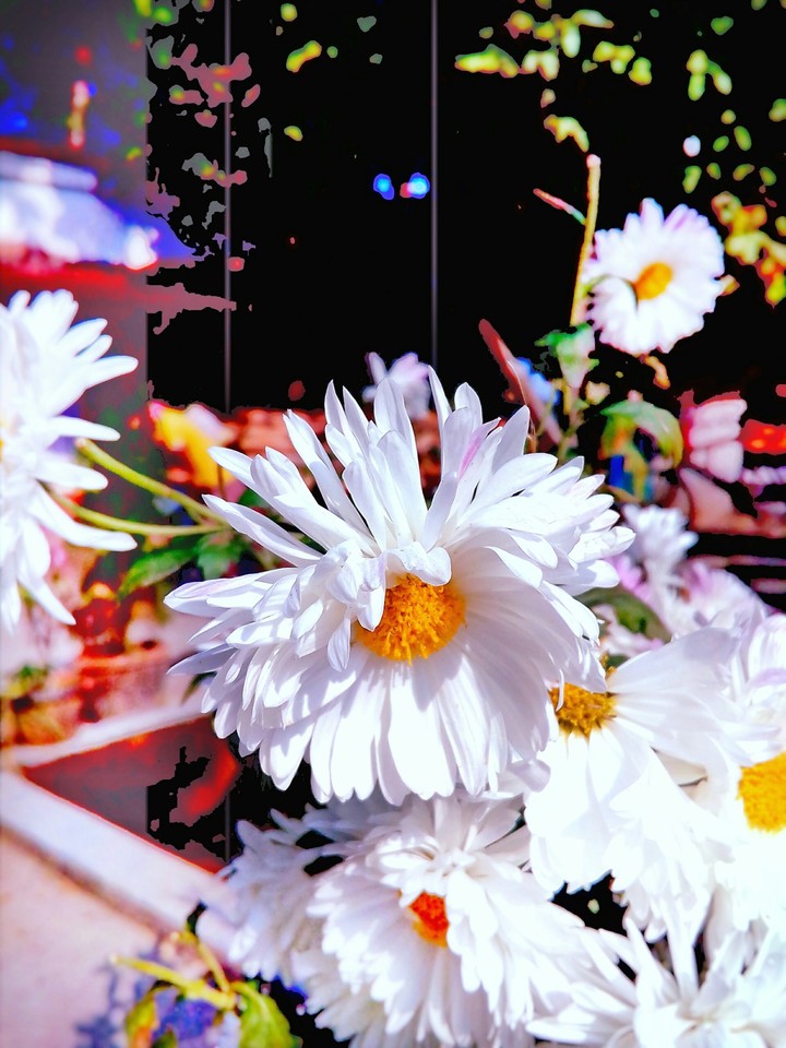 flowers