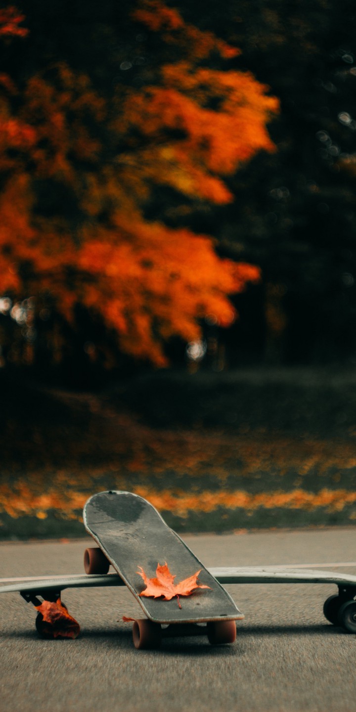 skateboard