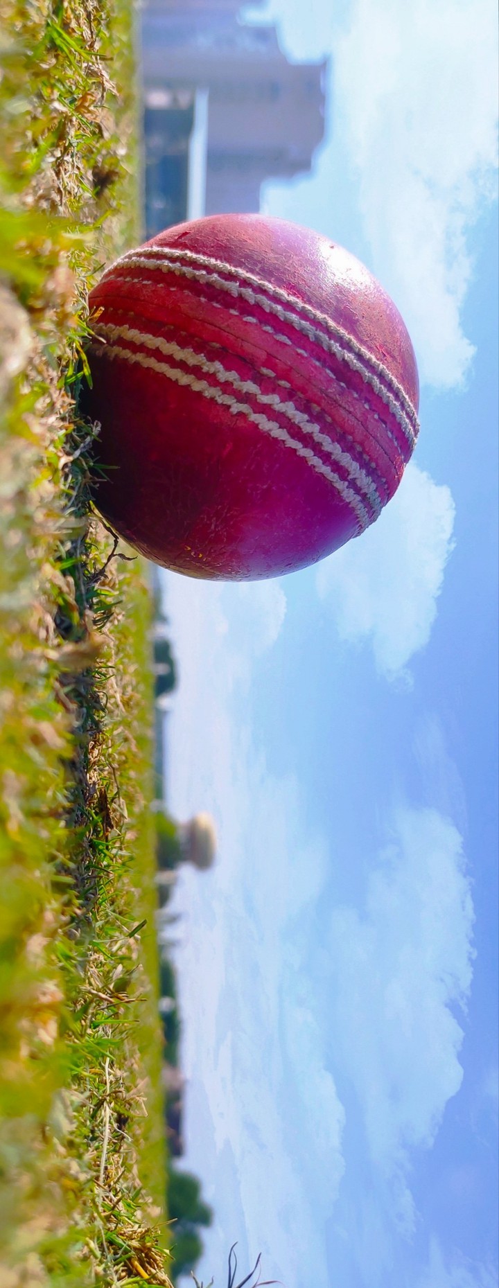 cricketer