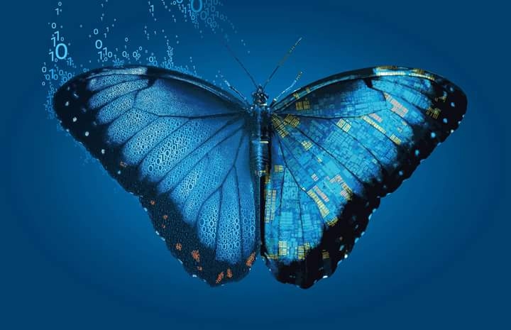 technical Butterfly