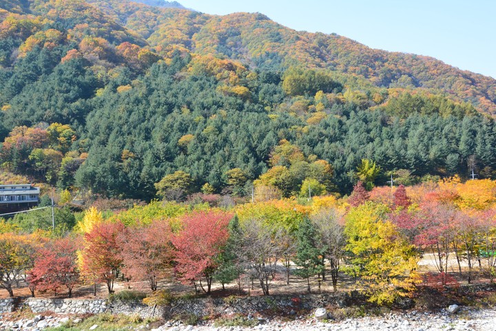 산이미지