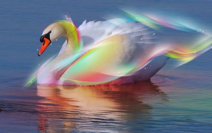 very cool and beautiful