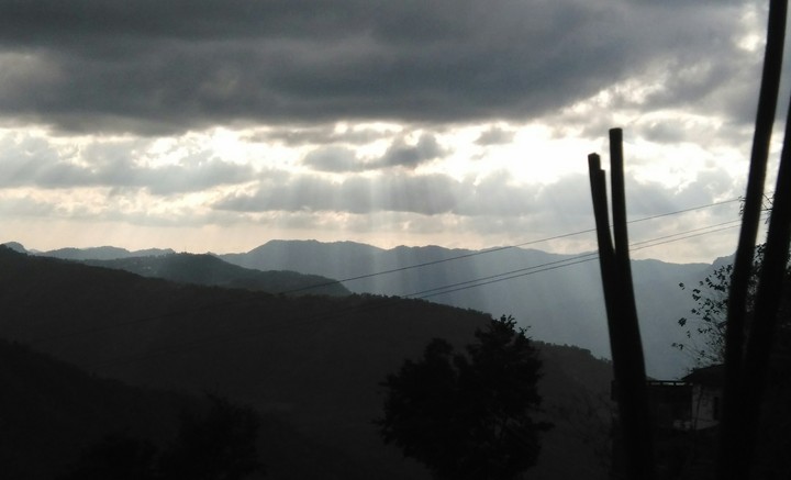 Rays