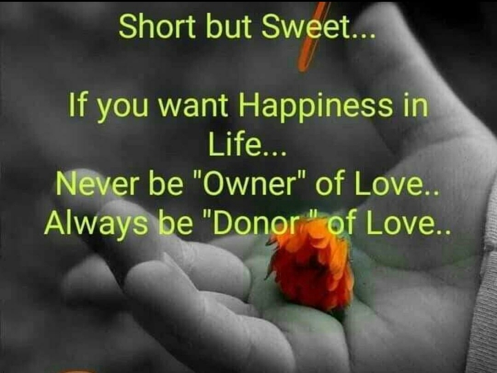 Quotes