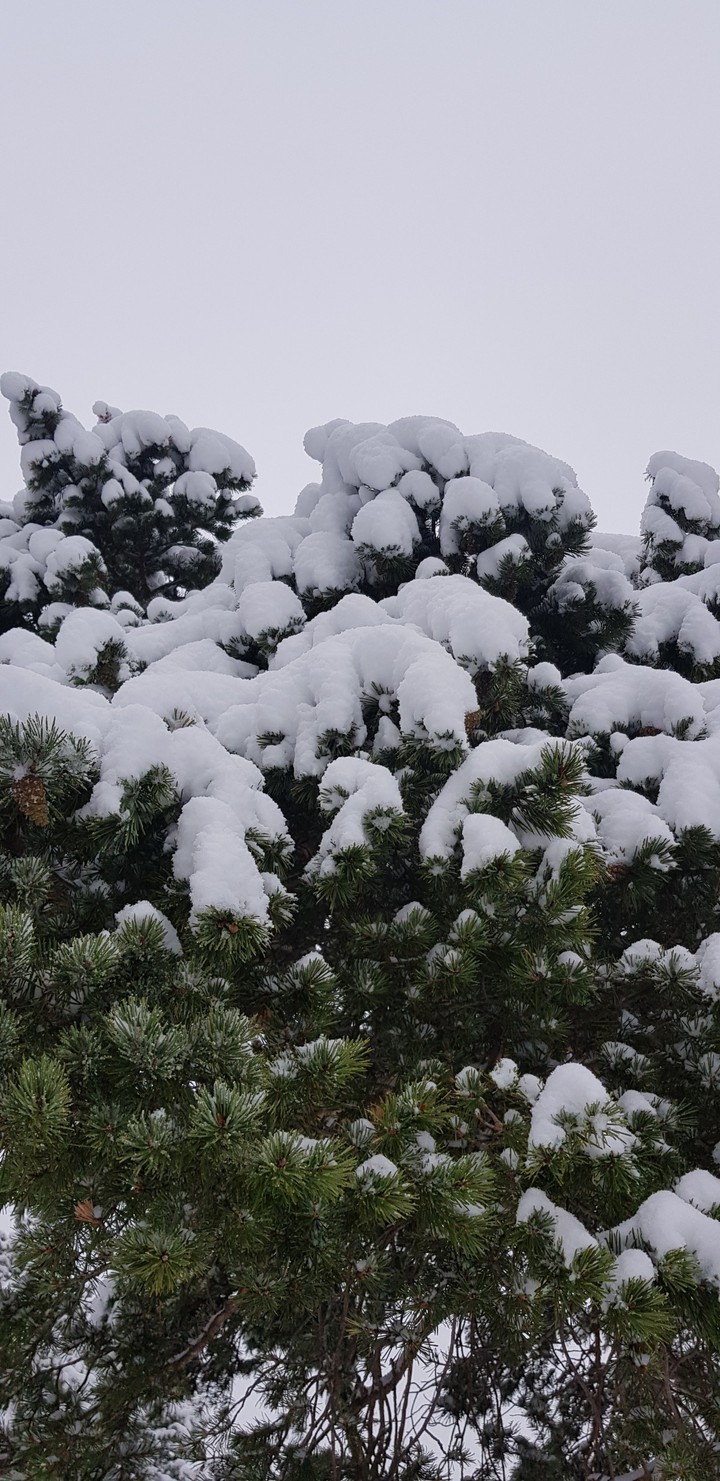 snow