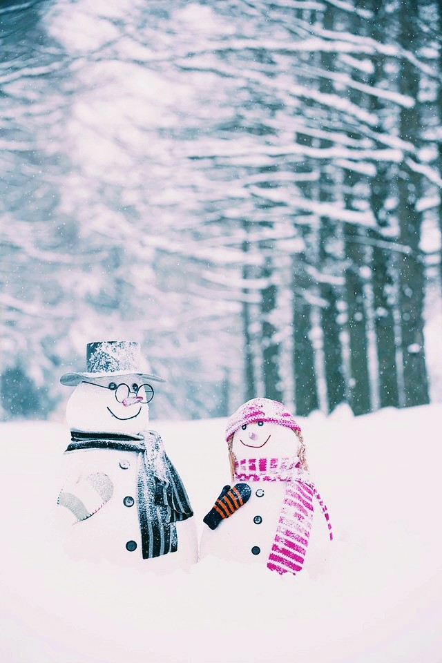 I love is winter❇