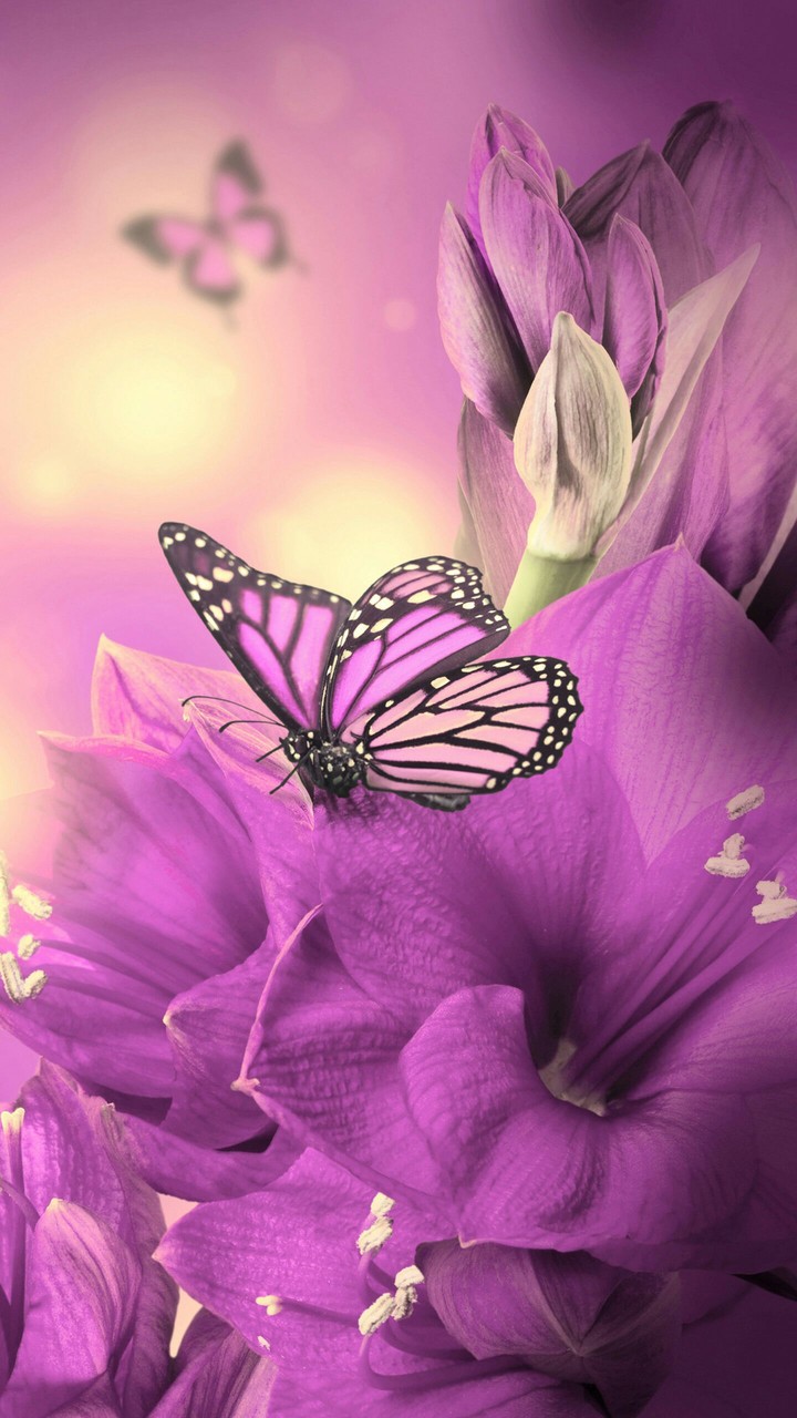 purple