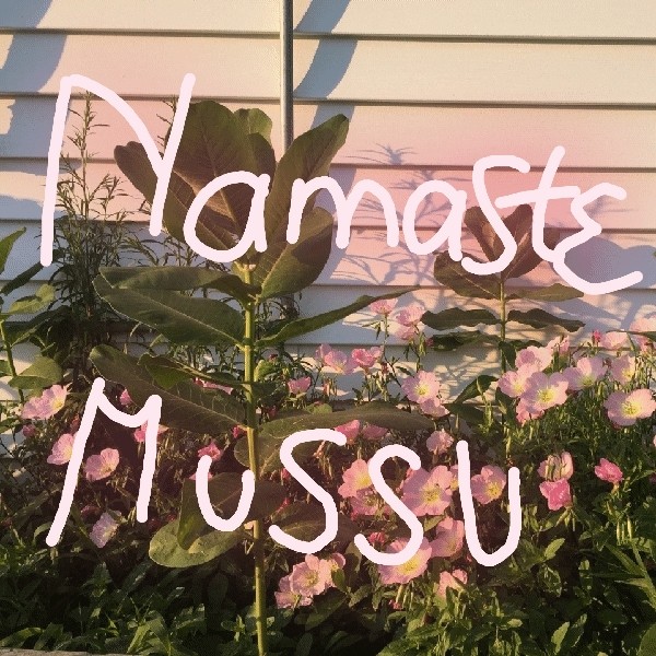 Namaste Mussu