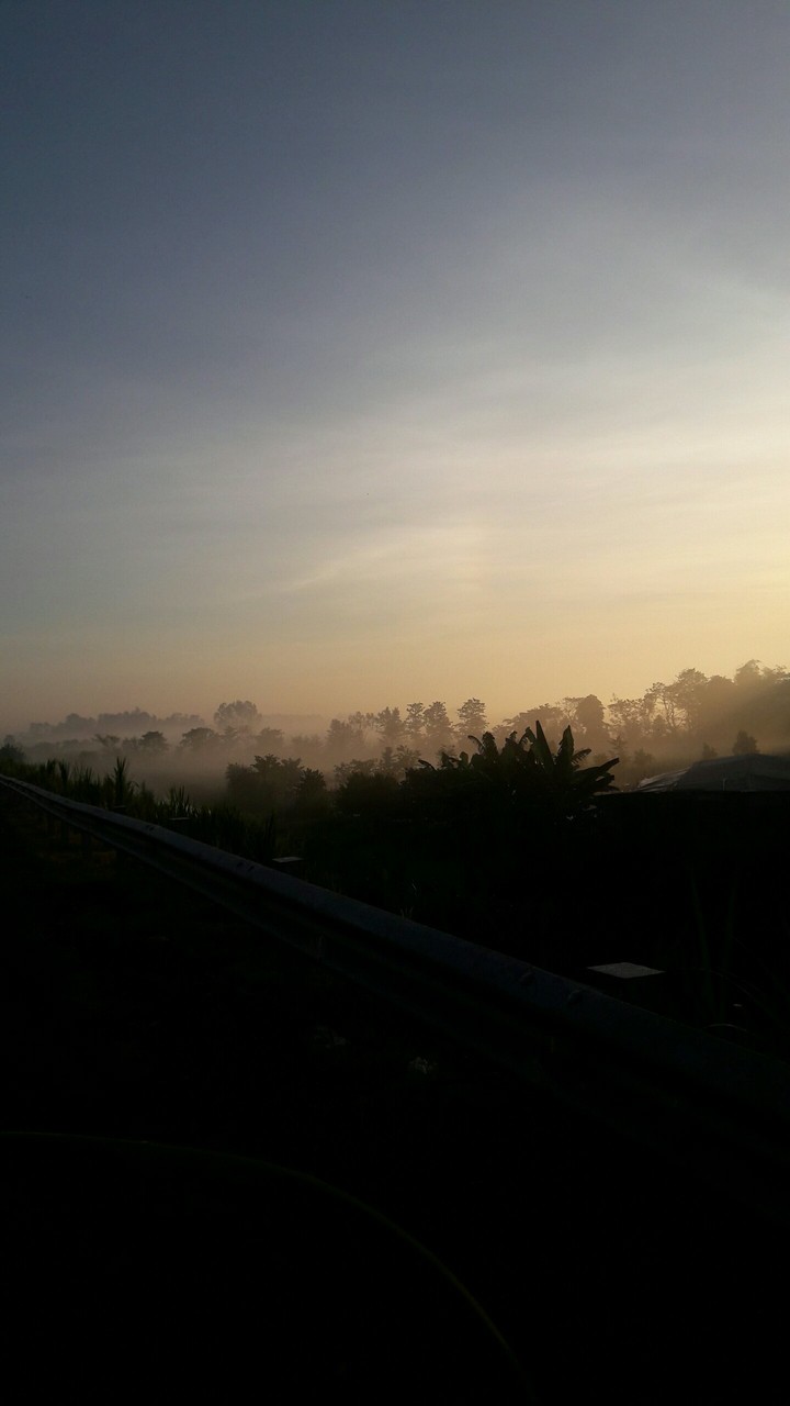 Vam Cong