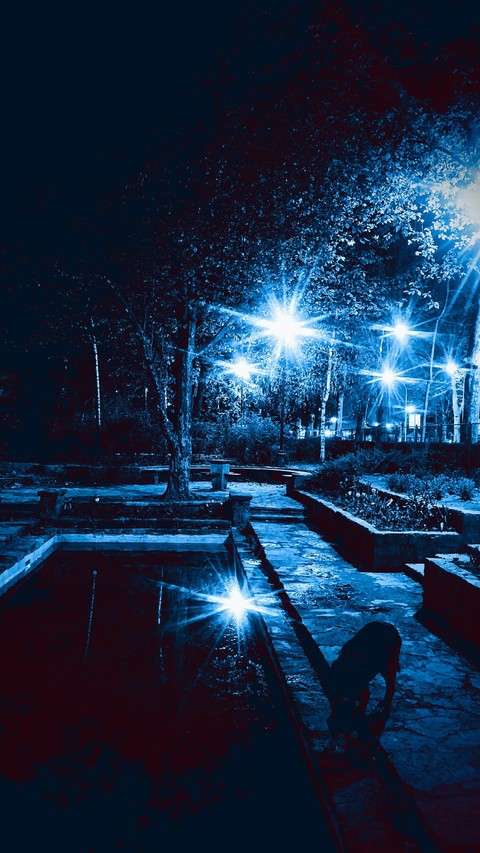 BEAUTY of BLUE NIGHT