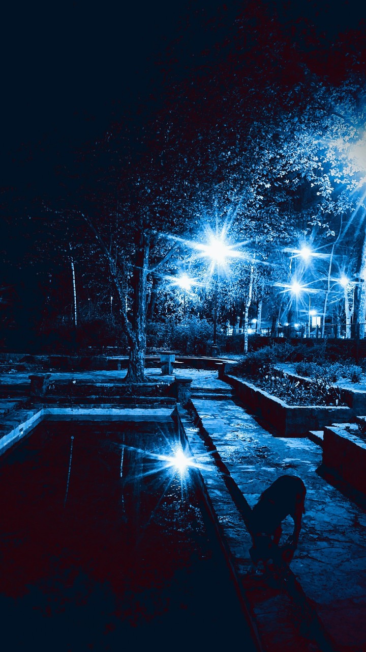 BEAUTY of BLUE NIGHT