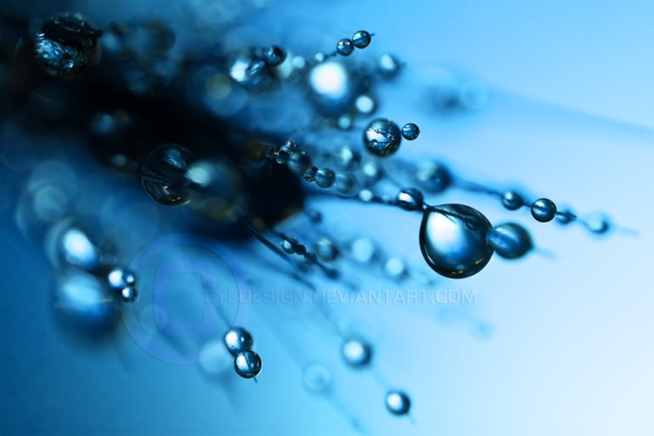 water drop