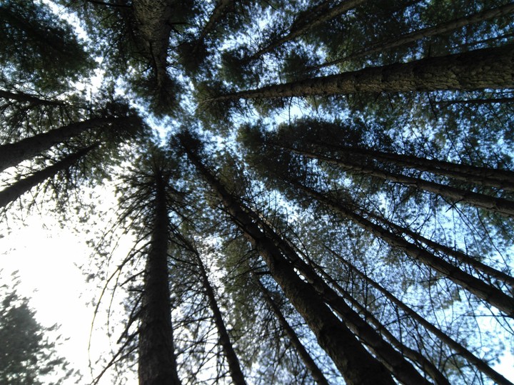 Look up