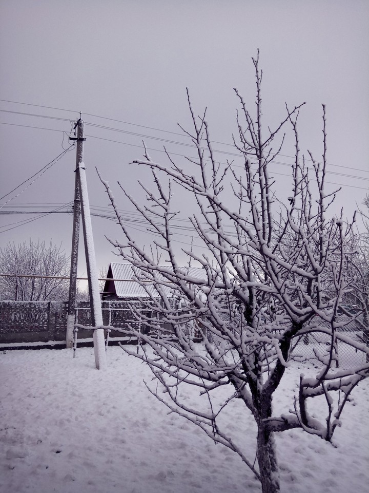neve