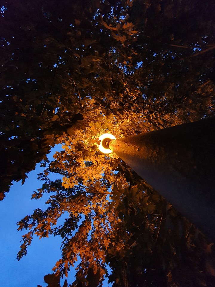 light