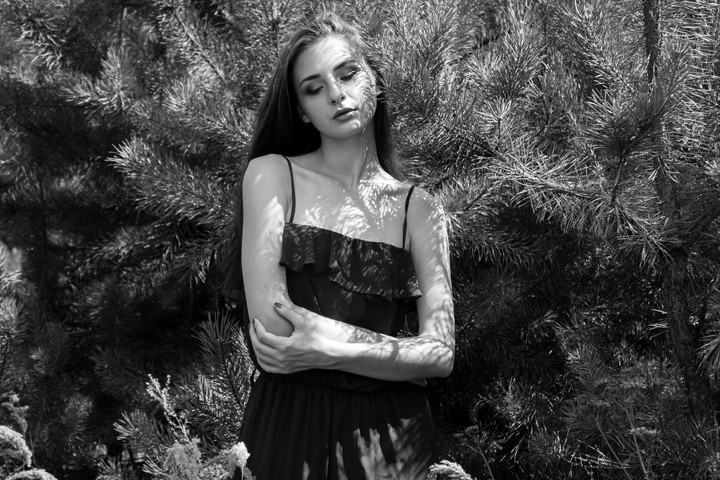 Beauty in the forest