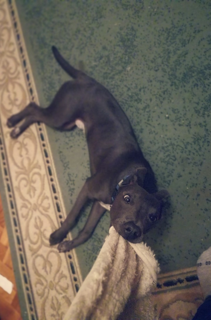Edgar is playing