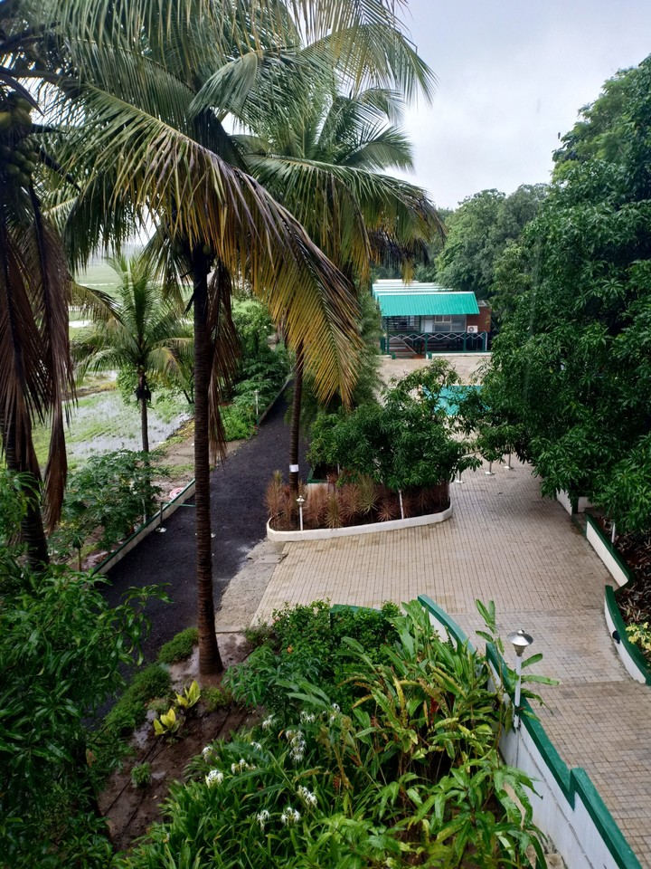 The Herb Farm - Igatpuri