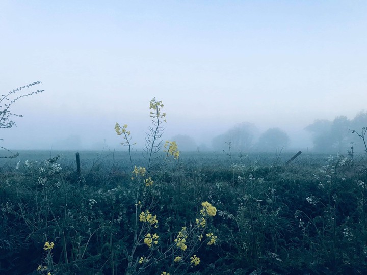 Morning fog at Ipswich