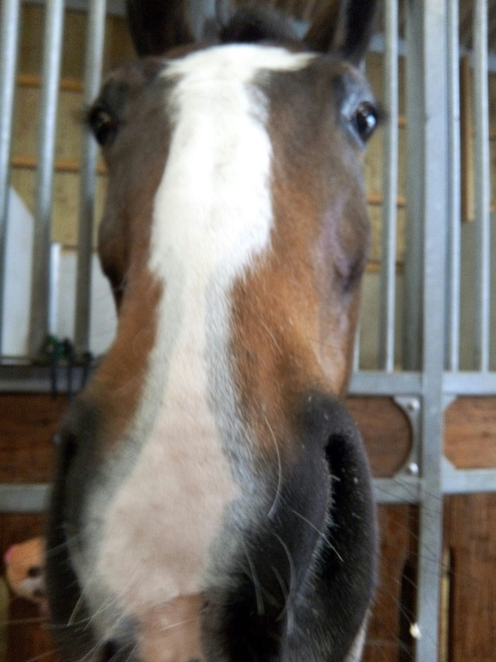 Mon doudou
