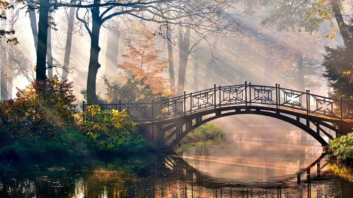 Fairy Tale