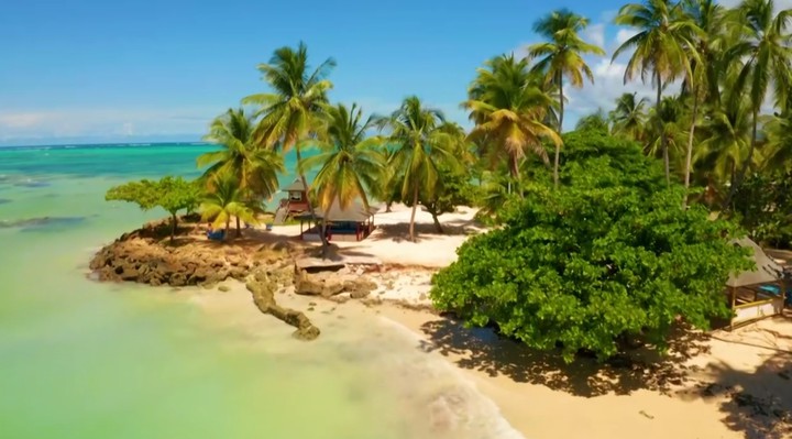 playa tropical, summer