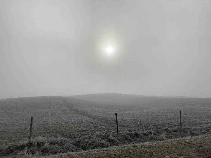 Fog