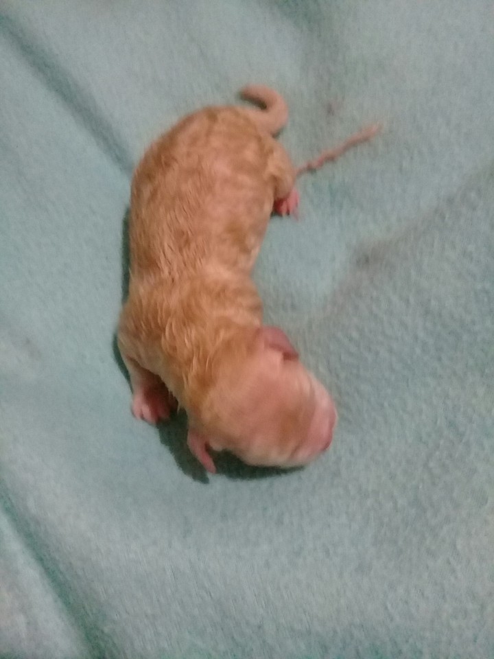 ??