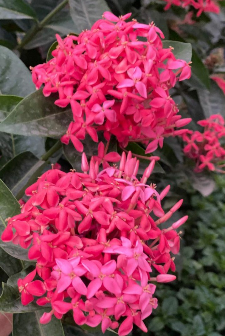 #nature#wallpaper#beauty