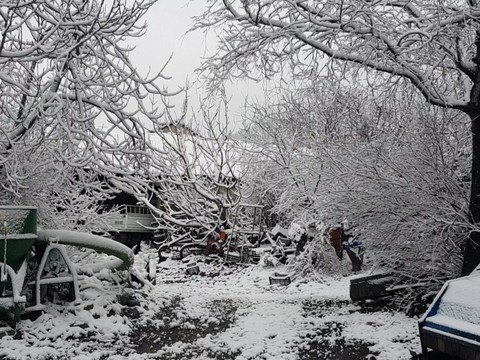 white in nowhere