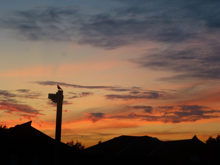 Sunset silhouette