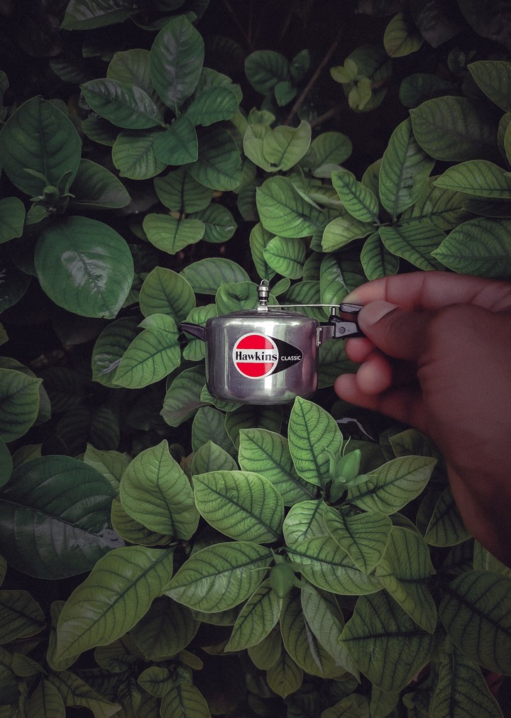 indian pressure cooker
