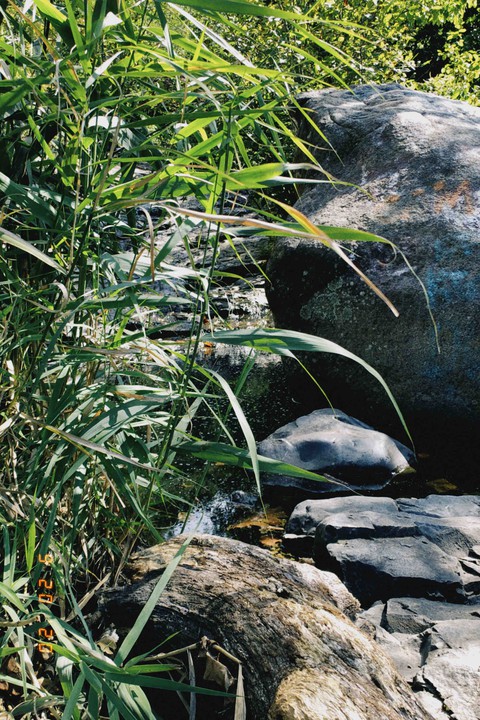mountain creek