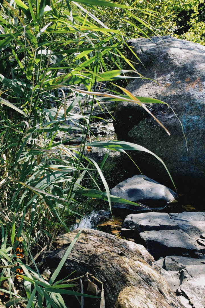 mountain creek