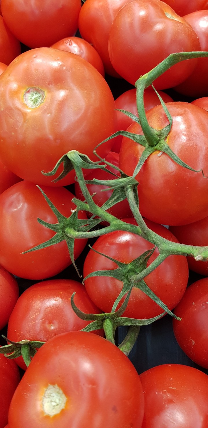 vegetables