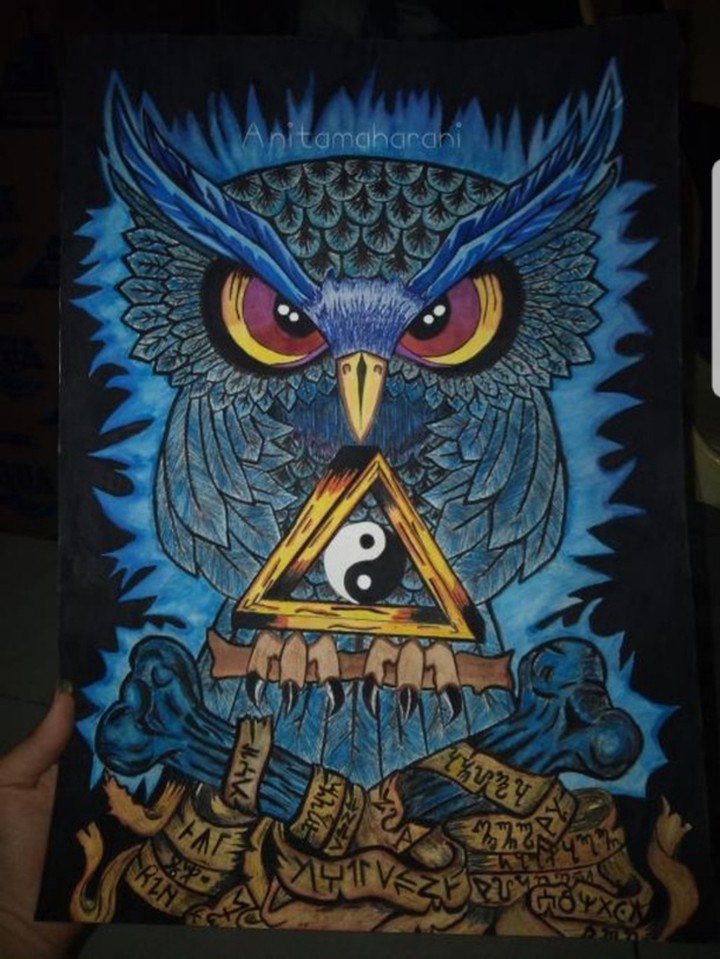 owl