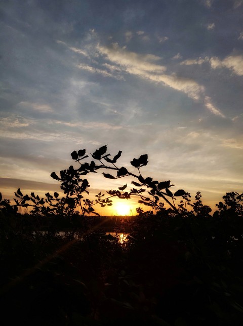 sky, sunset wallpapers
