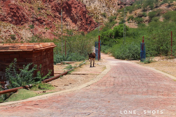 lone shots