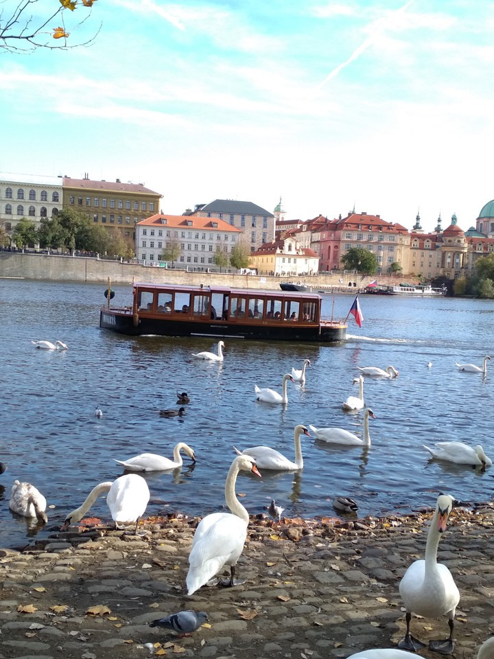 Prague, Карлов мост