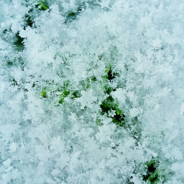 winter