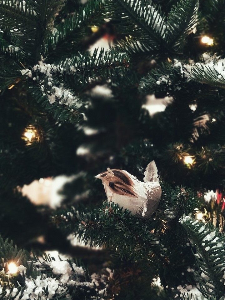 New Year / Christmas