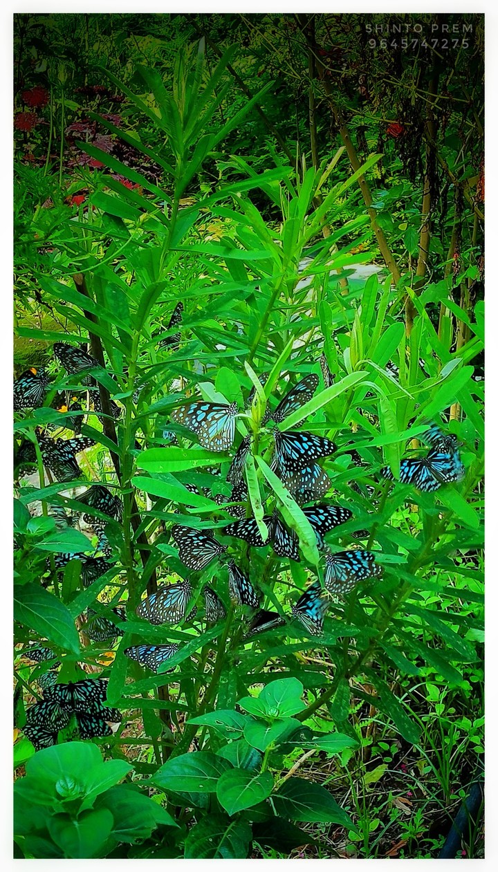 Beauty of nature