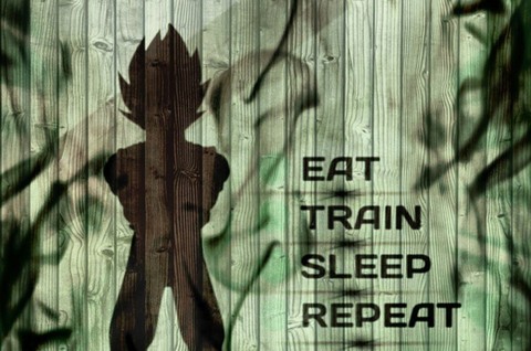 vegeta Quotes